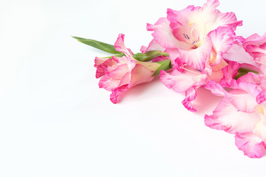 Similar image 16926005