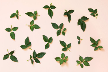 Similar image 16926006