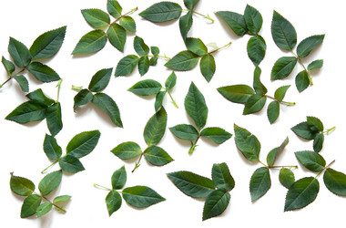 Similar image 16926049