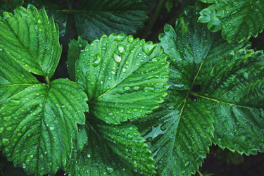 Similar image 16926050