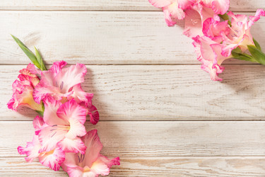 Similar image 16926051