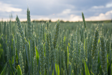 Similar image 16926075