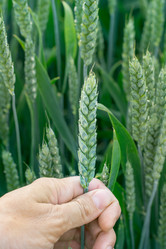 Similar image 16926087