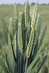 Similar image 16926088