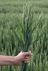 Similar image 16926089