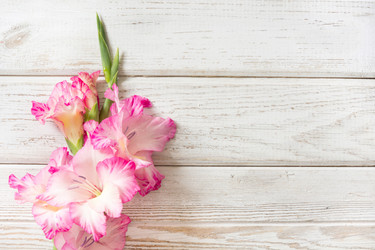 Similar image 16933603