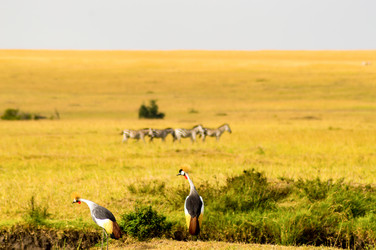 Similar image 17544050