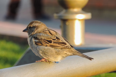 Similar image 16926737