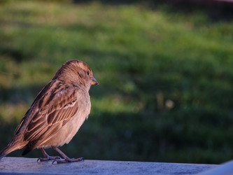 Similar image 16926739