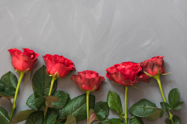 Similar image 16933608