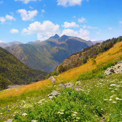 Similar image 16923136