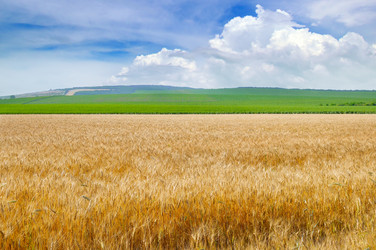 Similar image 16923141