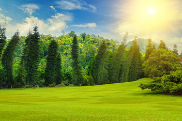 Similar image 16923144