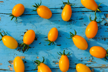 Similar image 16923145