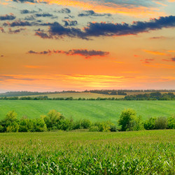 Similar image 16923147