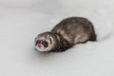 Similar image 16926574