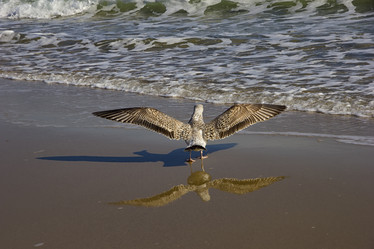 Similar image 16926537