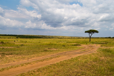 Similar image 17544140