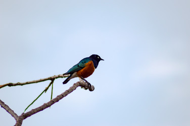 Similar image 17544145