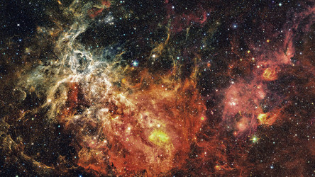 Similar image 17247106