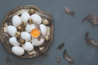 Similar image 16926007