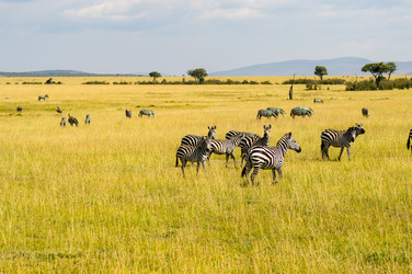 Similar image 17544217