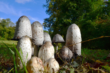 Similar image 16926771