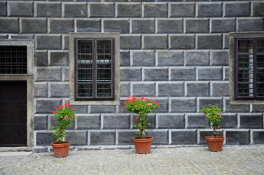 Similar image 16926822