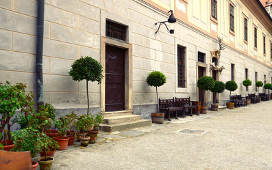 Similar image 16926831