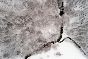 Similar image 16924134