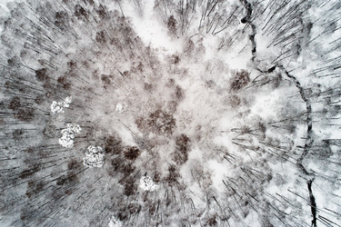 Similar image 16924758