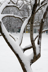 Similar image 16924759