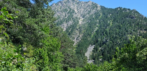 Similar image 16926868