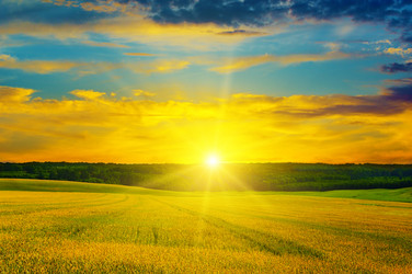 Similar image 16926881