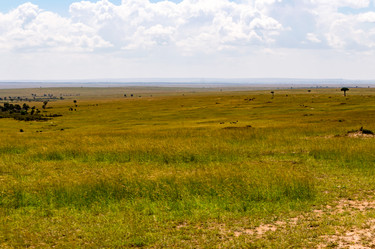 Similar image 17544122