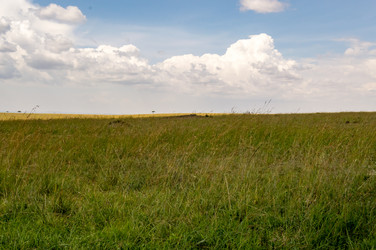 Similar image 17544123