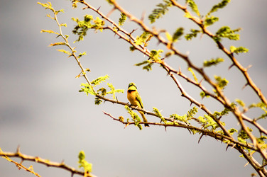 Similar image 17544127