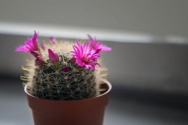 Similar image 16926741