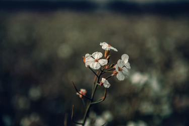 Similar image 16926714