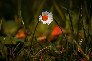 Similar image 16926742