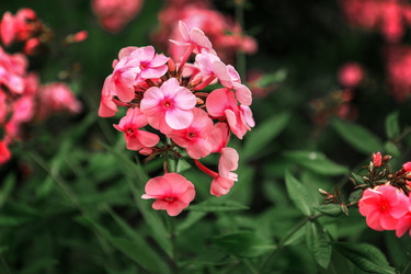 Similar image 16926744