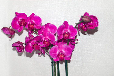 Similar image 16926768