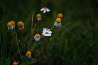 Similar image 16926772