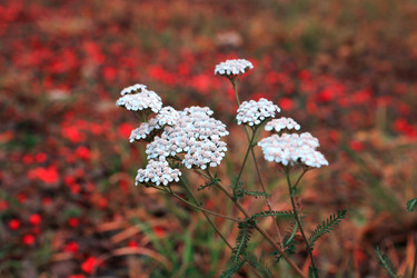 Similar image 16926779