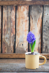 Similar image 16924752