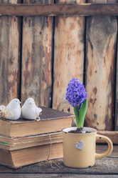 Similar image 16924760