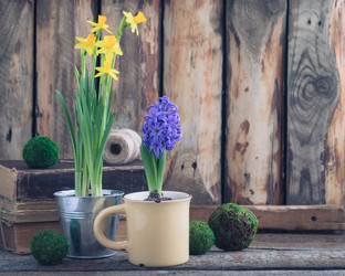 Similar image 16924761