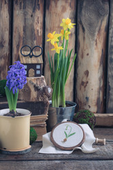 Similar image 16924762