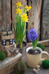 Similar image 16924763