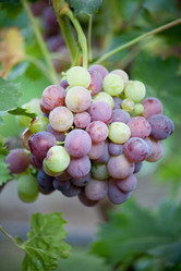 Similar image 17244092